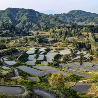 星峠の棚田